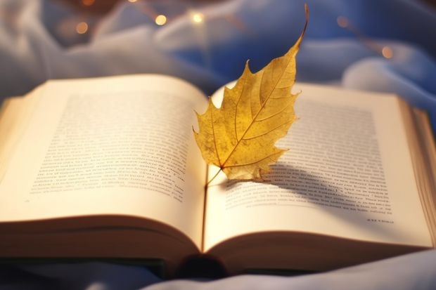 洛阳师范学院学科英考研分数线是多少