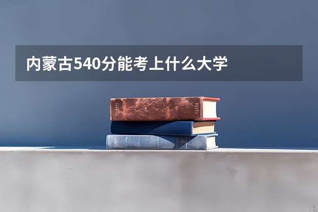内蒙古540分能考上什么大学