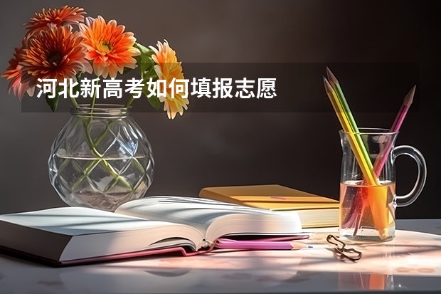 河北新高考如何填报志愿
