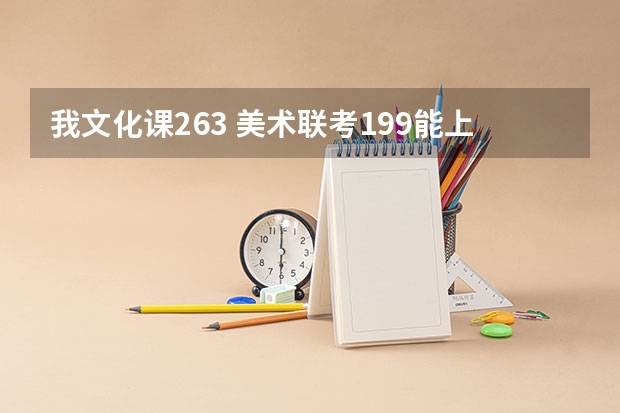 我文化课263 美术联考199能上什么好点的 保底点的大学啊