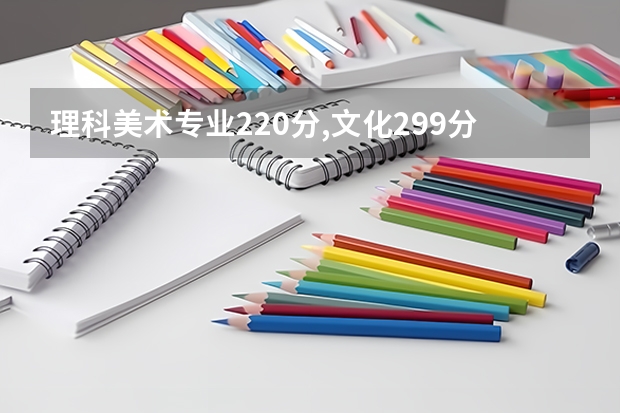 理科美术专业220分,文化299分有什么大学？
