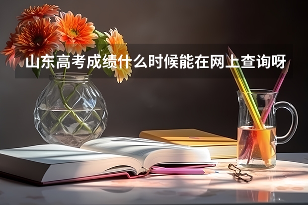 山东高考成绩什么时候能在网上查询呀?