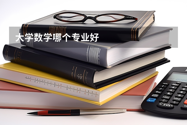 大学数学哪个专业好