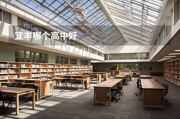 宜丰哪个高中好