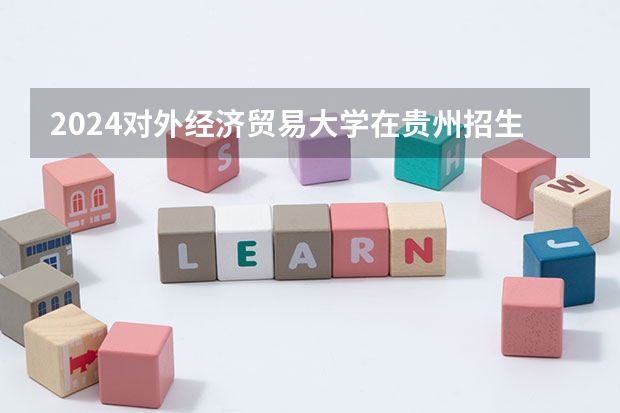 2024对外经济贸易大学在贵州招生计划（招生人数）