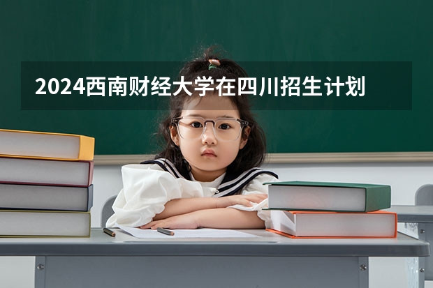 2024西南财经大学在四川招生计划（招生人数）