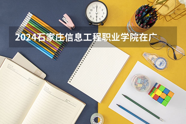 2024石家庄信息工程职业学院在广东招生计划（招生人数）