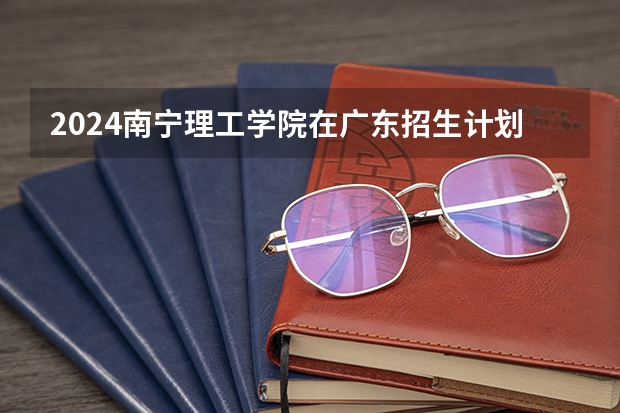 2024南宁理工学院在广东招生计划（招生人数）