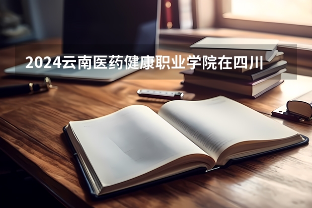 2024云南医药健康职业学院在四川招生计划（招生人数）