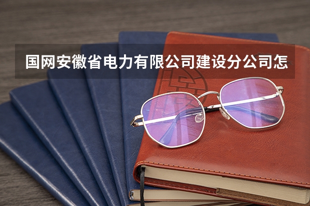 国网安徽省电力有限公司建设分公司怎么样？