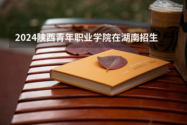 2024陕西青年职业学院在湖南招生计划（招生人数）