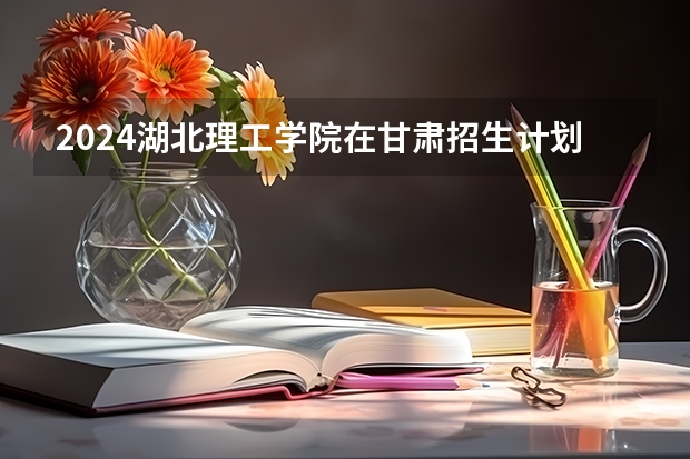 2024湖北理工学院在甘肃招生计划（招生人数）