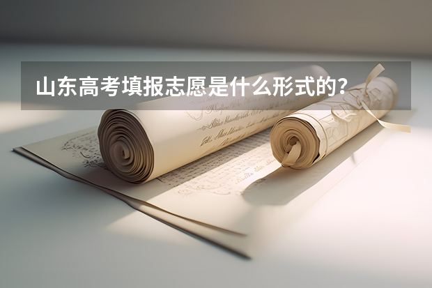 山东高考填报志愿是什么形式的？