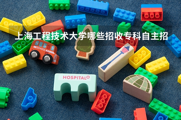上海工程技术大学哪些招收专科自主招生