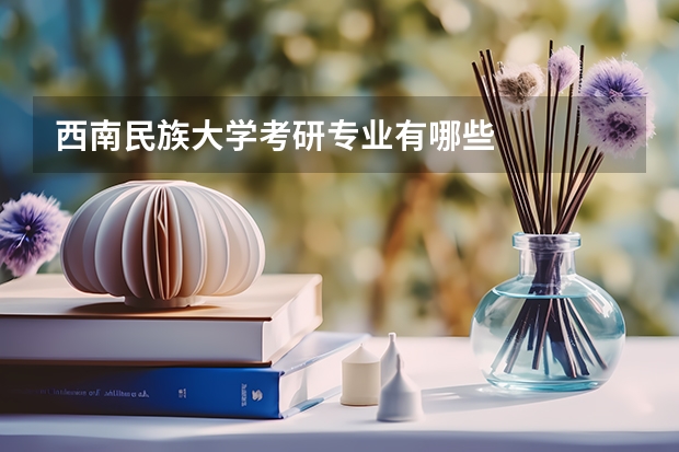 西南民族大学考研专业有哪些