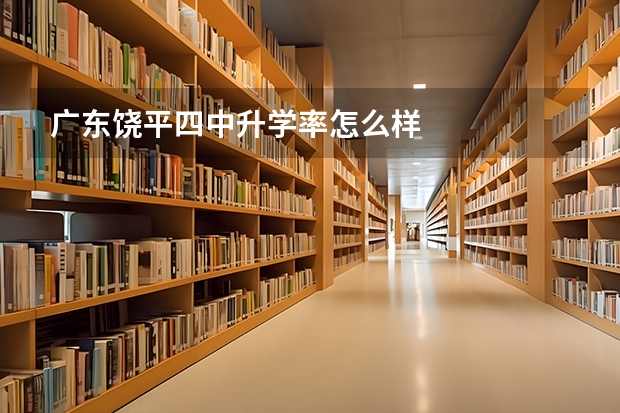 广东饶平四中升学率怎么样