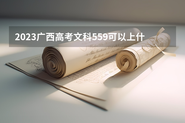 2023广西高考文科559可以上什么大学