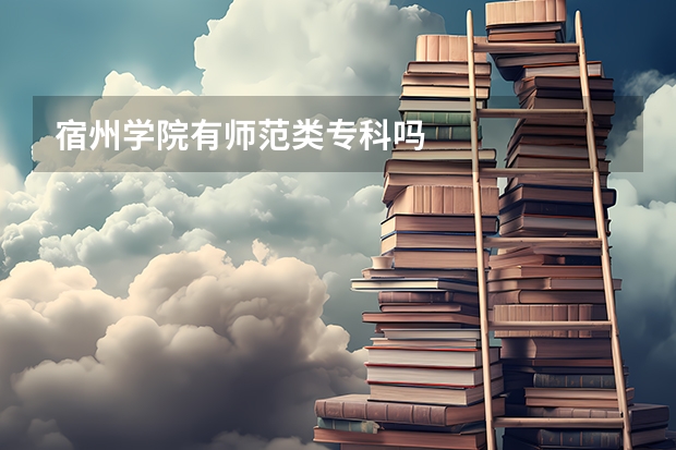宿州学院有师范类专科吗