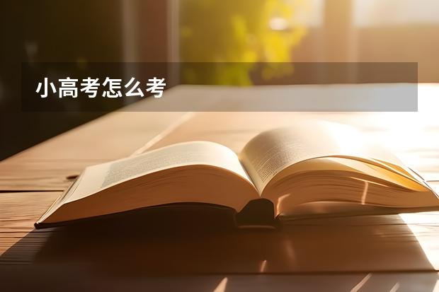 小高考怎么考