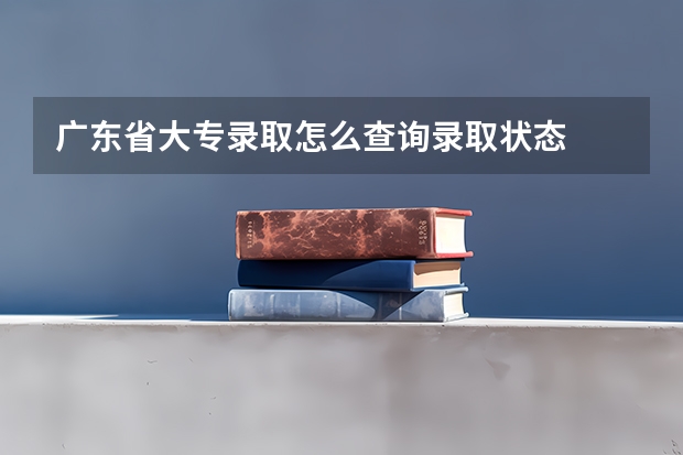 广东省大专录取怎么查询录取状态