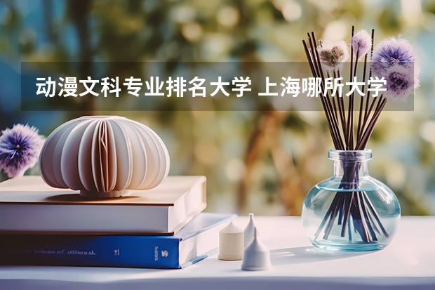 动漫文科专业排名大学 上海哪所大学的动画专业最好？