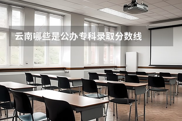 云南哪些是公办专科录取分数线
