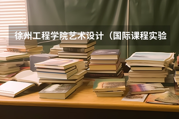 徐州工程学院艺术设计（国际课程实验班）怎么样