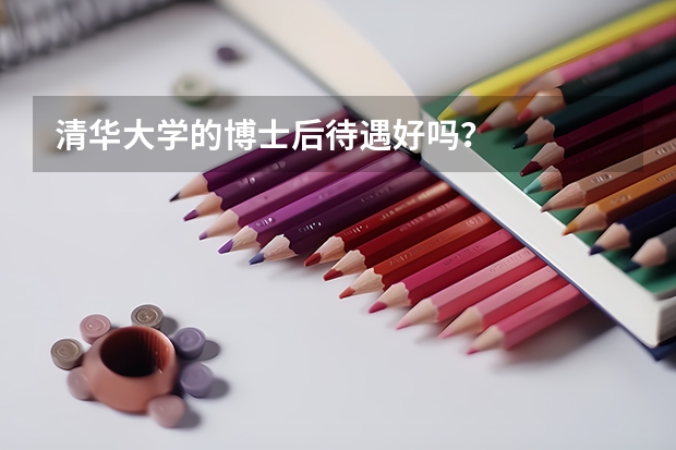 清华大学的博士后待遇好吗？