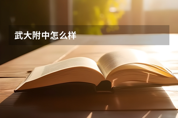 武大附中怎么样