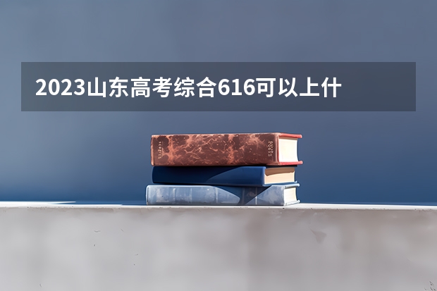 2023山东高考综合616可以上什么大学