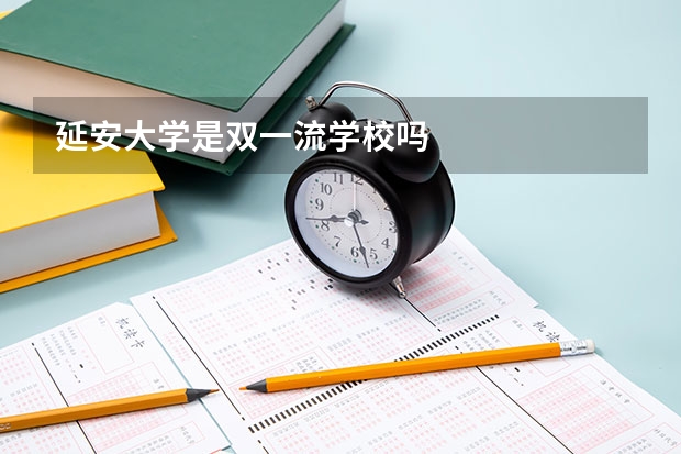 延安大学是双一流学校吗