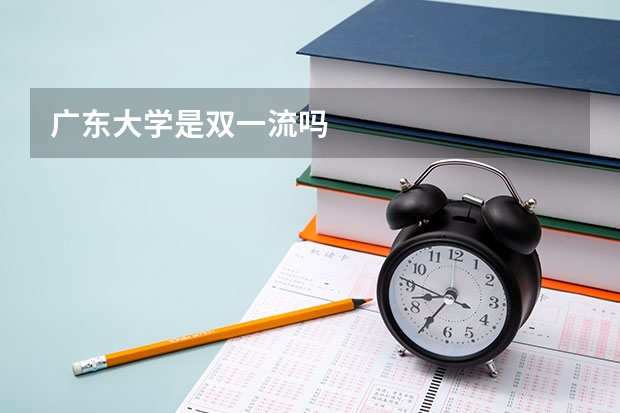 广东大学是双一流吗