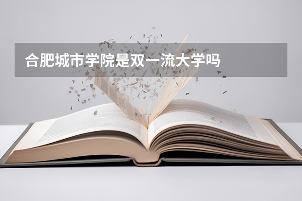 合肥城市学院是双一流大学吗
