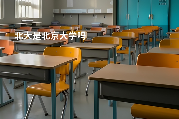 北大是北京大学吗