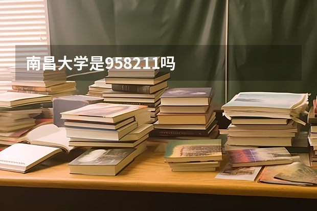 南昌大学是958211吗
