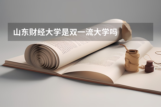 山东财经大学是双一流大学吗