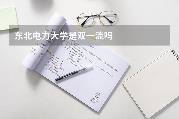东北电力大学是双一流吗