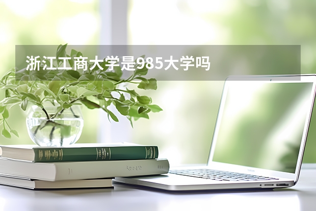 浙江工商大学是985大学吗