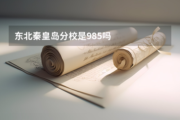 东北秦皇岛分校是985吗