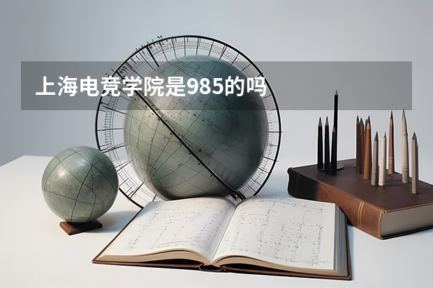 上海电竞学院是985的吗