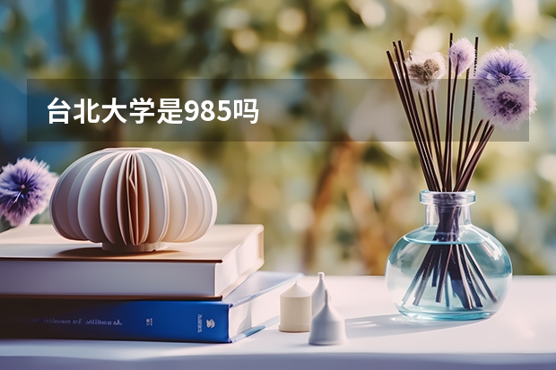 台北大学是985吗