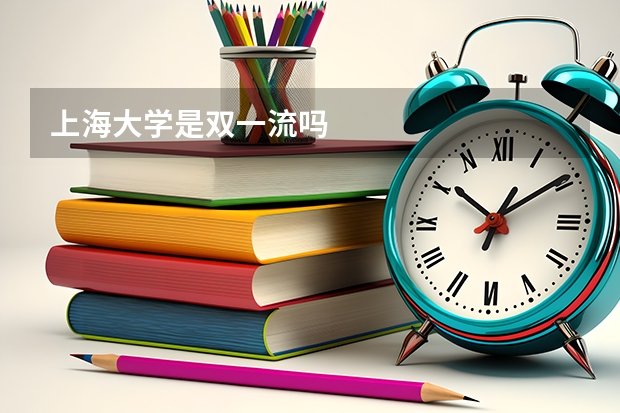上海大学是双一流吗