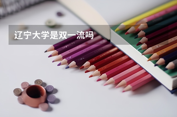 辽宁大学是双一流吗