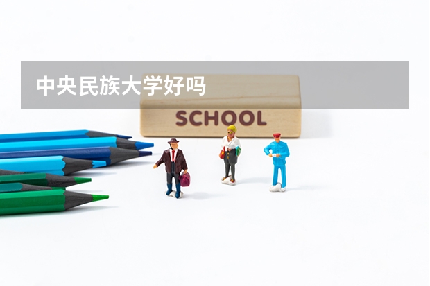 中央民族大学好吗