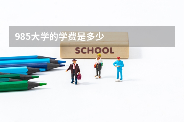 985大学的学费是多少