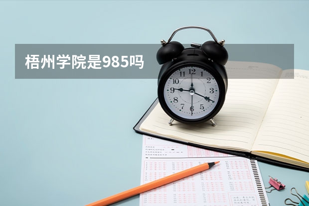 梧州学院是985吗
