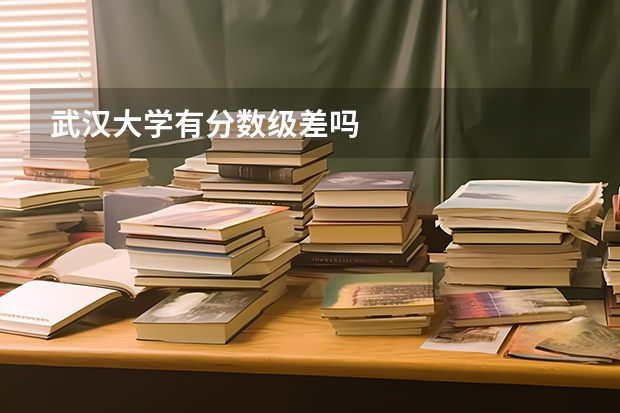 武汉大学有分数级差吗