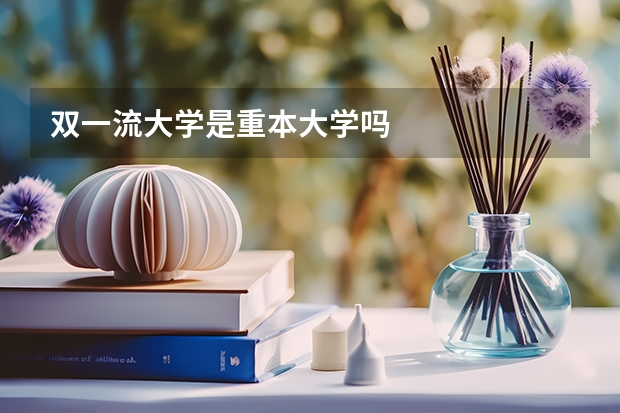 双一流大学是重本大学吗