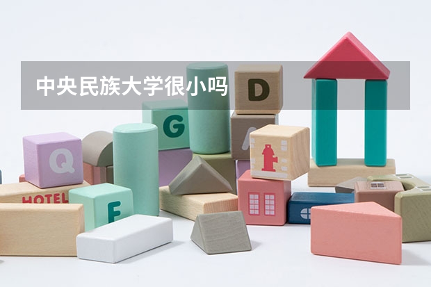 中央民族大学很小吗