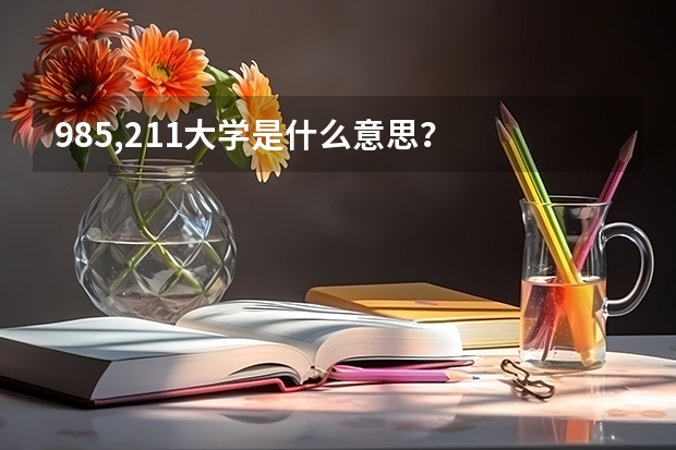 985,211大学是什么意思？